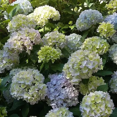 ル ムーラン ディス La Cropte