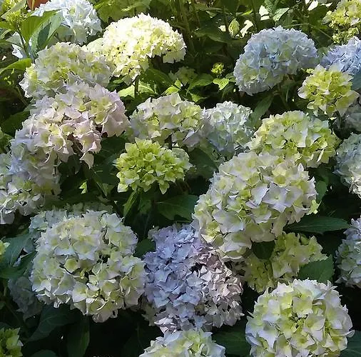 Le Moulin D'hys La Cropte